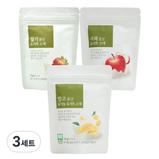 ORGA 퐁당 요거트 스낵 16g x 3종 세트, 망고맛, 딸기맛, 사과맛, 3세트