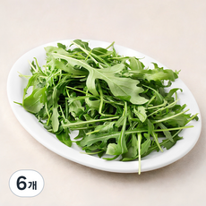 국내산 와일드 루꼴라, 30g, 6개