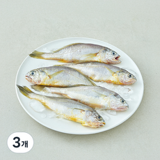 산지직송 일품 법성포 선별참조기 (냉장), 3개, 350g(중, 5미)