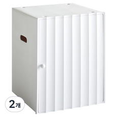 위즈홈 루미너 템바 수납 정리함 대(32.5 x 30.5 x 40.6 cm), 화이트, 2개