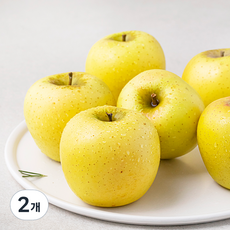 좋은하루 GAP 저탄소 인증 산지직송 청송 시나노골드 사과, 1.5kg(5~8입), 2개