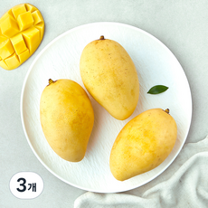 수플린 베트남산 캐츄 망고, 3개, 1.1kg(3입)
