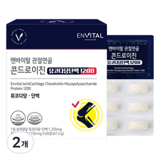 엔바이탈 관절연골 콘드로이친 뮤코다당단백 1200 67.5g, 90정, 2개
