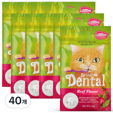 캣템 고양이 스피루리나 덴탈 간식, 비프, 60g, 40개
