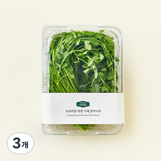 프리미엄 의령 가례 밭미나리, 3개, 200g