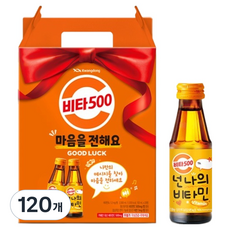 비타500, 100ml, 120개