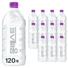 몽베스트 위드어스 무라벨 생수, 120개, 1L