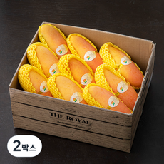 더로얄 마하차녹 망고 9~10입, 3kg(대과), 2박스