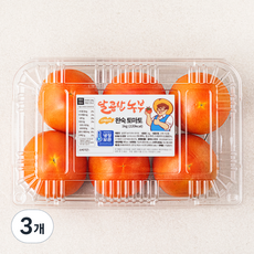 달콤한농부 스테비아 완숙토마토, 1kg, 3팩