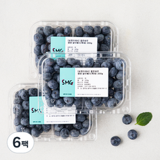 좋은하루 생생 블루베리 특대, 200g, 6팩