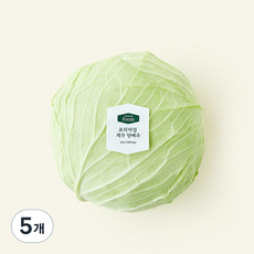 프리미엄 제주 양배추, 1.2kg, 1개입, 5개