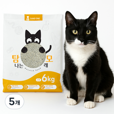 샌드원 탐나는 와이오밍 고양이 모래, 6kg, 5개, 무향