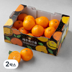 귤탐 천혜향, 2.5kg(소과, 12~16입), 2박스