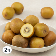 순천 골드키위, 2kg (19~25과), 2개