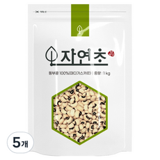 자연초 동부콩, 1kg, 5개