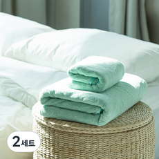 탐사 반려동물 극세사 펫타올 2종 세트, 민트, 2세트