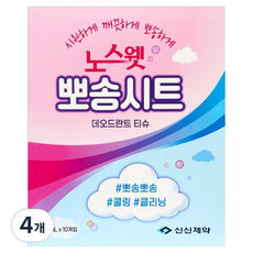 신신제약 노스웻 뽀송시트 데오드란트 쿨링 티슈 10p, 4개, 80ml