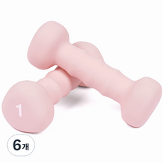 코멧 논슬립 삼각 아령, 1kg, 6개