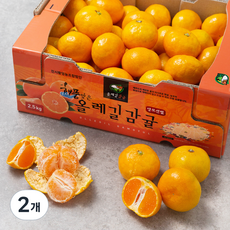 올레길 AI 당도선별 11brix 감귤, 2.5kg, 2개