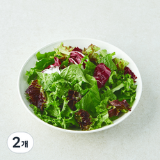 국내산 라디치오믹스 샐러드, 150g, 2개, 1개입