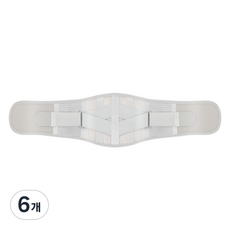 글로어스 자세 허리보호대 그레이 숏 15cm, 6개