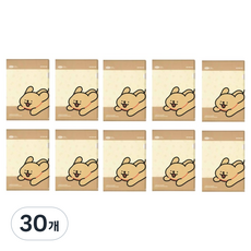 몰티즈 L홀더, 30개, 리트리버
