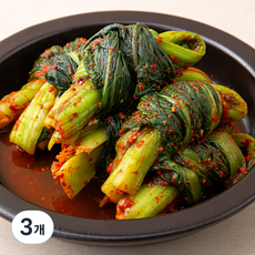 디스이즈잇 여수 돌산 갓김치, 1kg, 3개