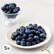 칠레산 블루베리, 5개, 500g