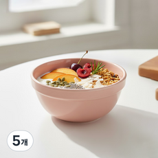 리빙메이트 국산 멜라민 브런치 식판볼, 인디 핑크, 5개