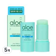 홀리카홀리카 알로에 수딩 에센스 87% 수분스틱, 24g, 5개
