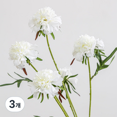 花樹人造花 晝顏花 5朵花束 70cm, 白色, 3個