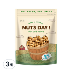 넛츠데이 구운캐슈넛, 500g, 3개