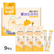니몸내몸 배를 사랑한 장생도라지 스틱 건강즙, 10g, 270개입