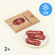 드라이에이징 한우 부채살 구이용 (냉동), 2개, 200g