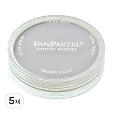 팬파스텔 신한화구 파스텔 PAYNES GREY TINT 840.7 9ml, 5개, 1색