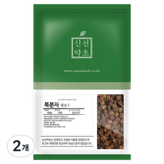 신선약초 국내산 말린 건조 복분자 열매 소포장, 100g, 2개