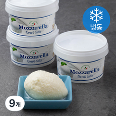 유로포멜라 모짜렐라 카우 치즈 (냉동), 100g, 3개입, 3개