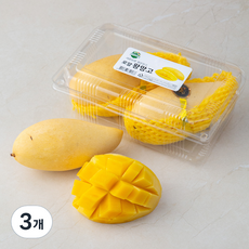 만나 태국 로얄 왕망고 2입, 800g 이상, 3개