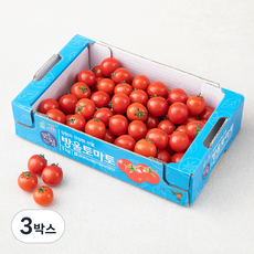 맑은청 GAP 인증 방울토마토, 1kg, 3박스