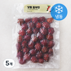이안 람부탄 (냉동), 1kg, 5개