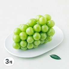 모아바이오팜 고당도 샤인머스캣, 3개, 600g