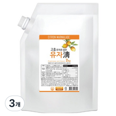 참다음 전남 고흥 유자청 파우치, 3개, 2kg