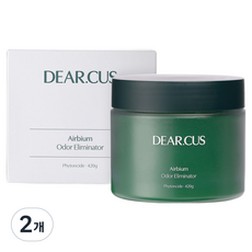 디어커스 에어비움 고체 탈취제 420 피톤치드 본품, 420g, 2개