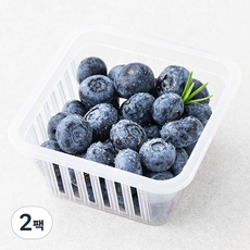 온담채 무농약 인증 조암농협 블루베리, 100g, 2팩