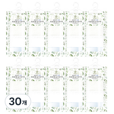 올레비엔 사계절 옷걸이형 습기제거제, 150g, 30개