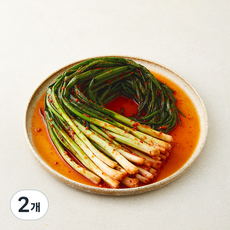 신영식품 정담은김치 매운 파김치, 1.2kg, 2개