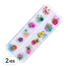 田納西乾花指甲刀 12 件套, 混色, 2組