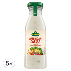 퀴네 아메리칸 시저 드레싱, 5개, 250ml
