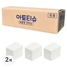 아토티슈 엠보싱 접지형 건티슈, 55g, 300개입, 2개