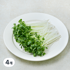 친환경 무순, 4개, 30g